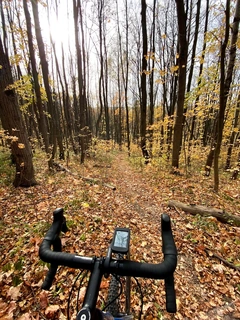 Cycling through an autumn forest
