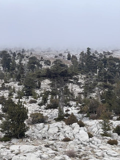 Rocky winter landscape