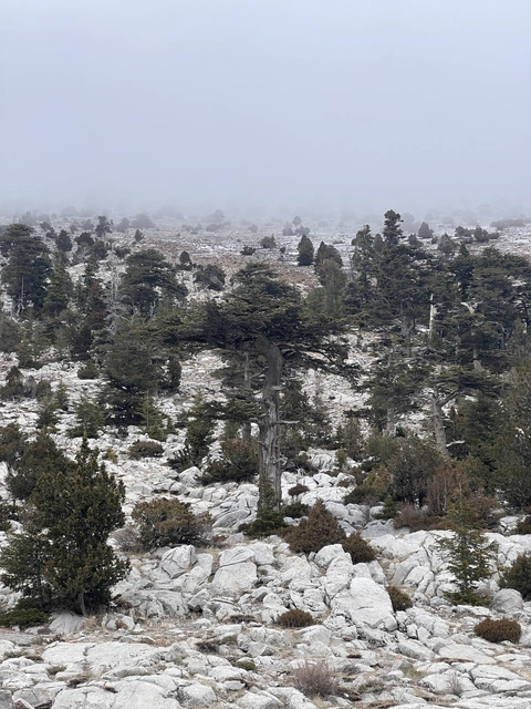 Rocky winter landscape